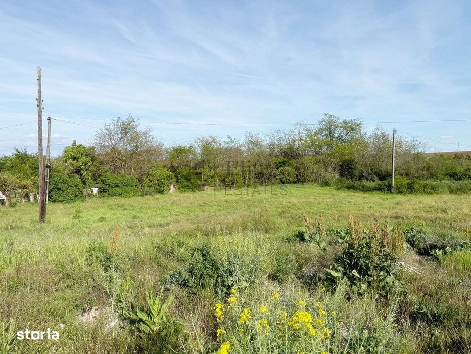 Teren intravilan 5680 mp la E671 / DN in Les, Bihor
