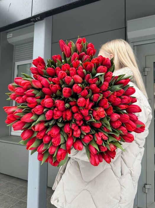 Тюльпаны крупные