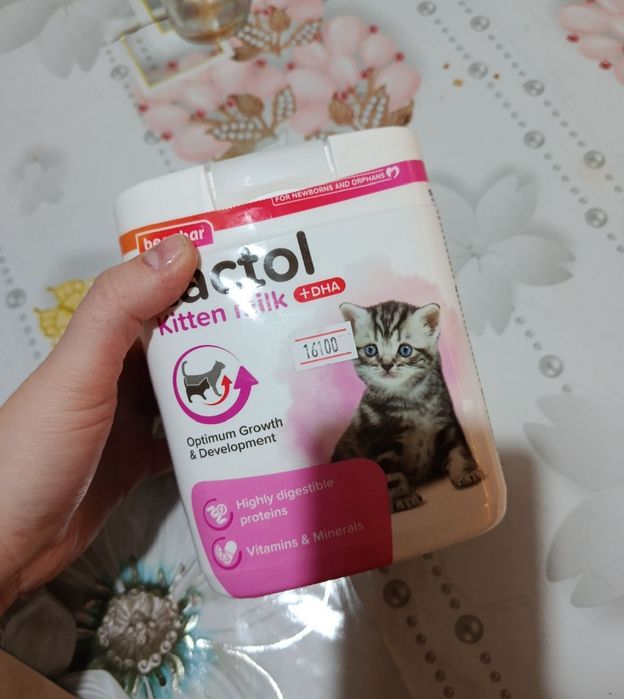 Lactol kitten milk +DHA молочная смесь для котят заменитель молока