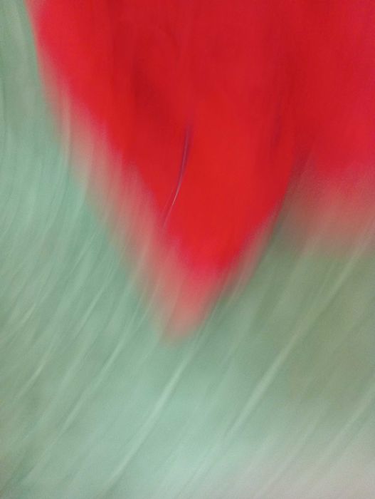 яке  с качулка сваляща се