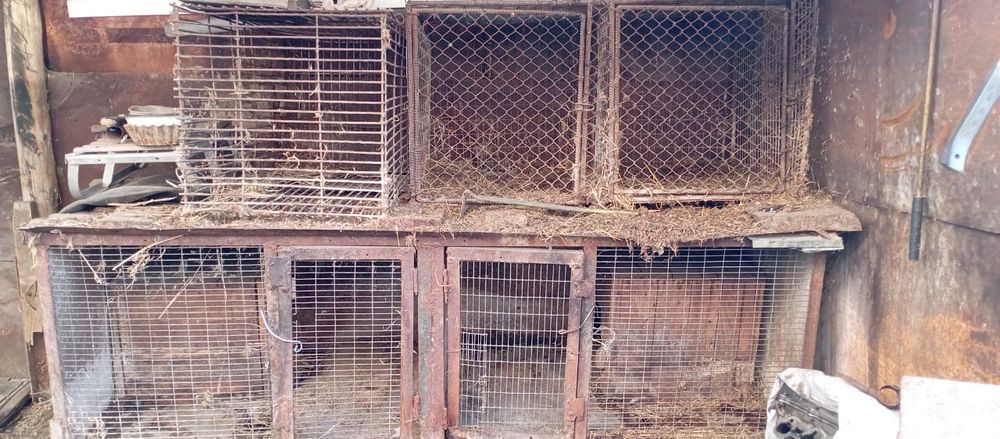 Клетки для кроликов