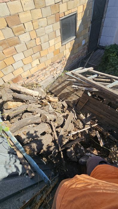 Дрова для топки, бесплатно