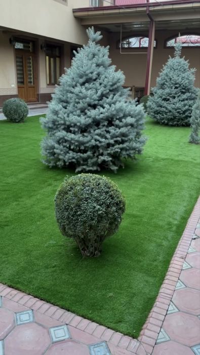 Искусственный газон/Sun’iy chim