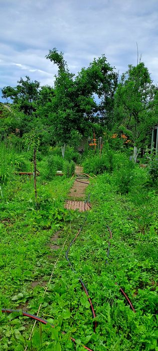 Дача, р/н Телецентр, 7.5 соток, ТОРГ.