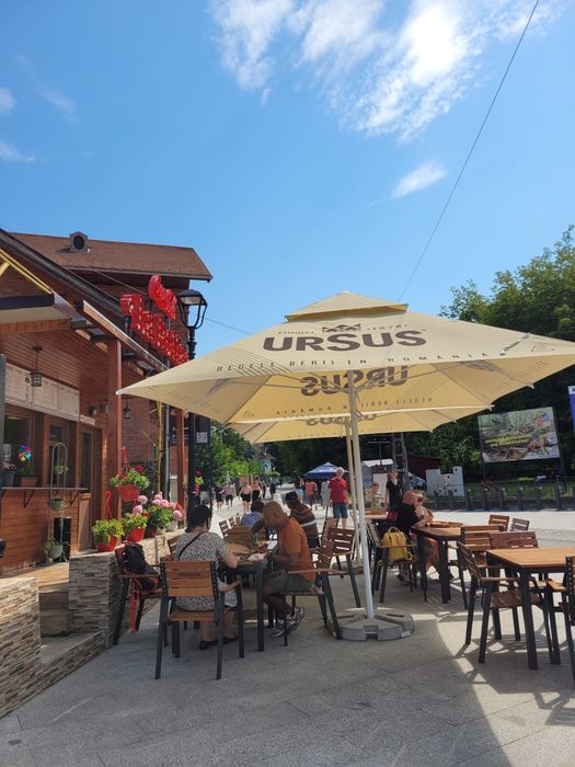Chirie spatiu comercial langa castel Hunedoara
