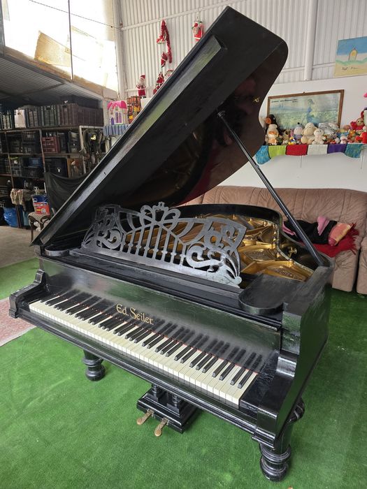 Pian coada medie Ed.Seiler