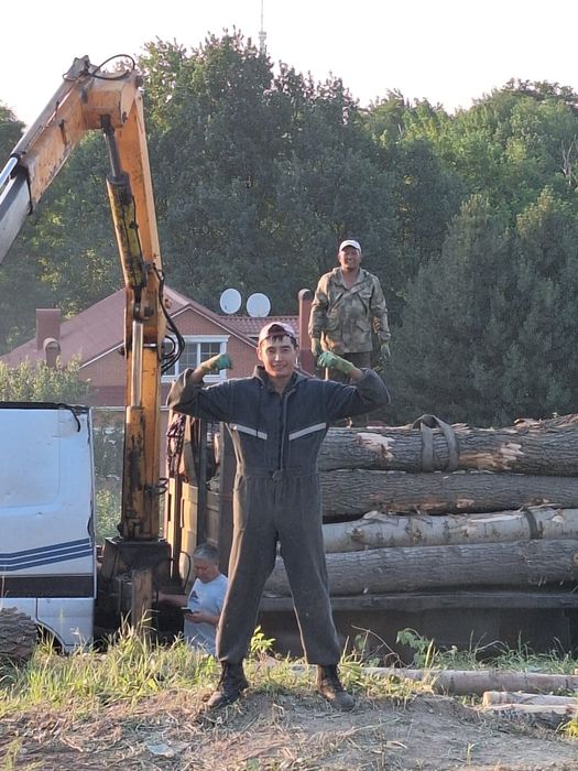 Ағаш кесу/Спил деревьев