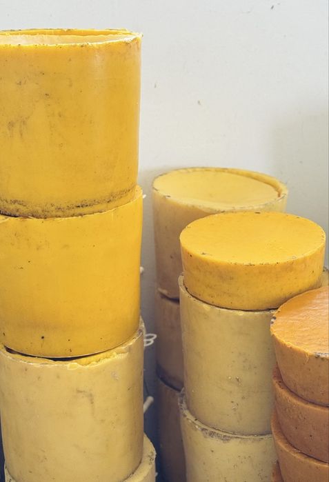 Vand ceara ecologica