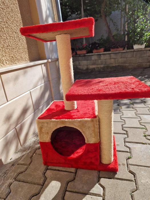 Котешка катерушка