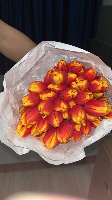 Премиальные тюльпаны