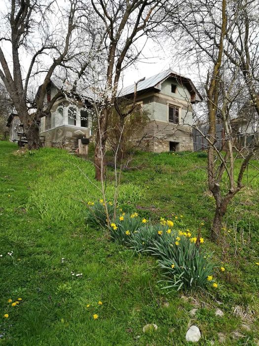 TEREN INTRAVILAN 5.017 mp + 2 case sat Măgura, com. Bezdead, jud. Dâmbovița