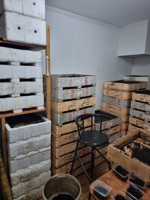 Вермиферма, школьник, студент