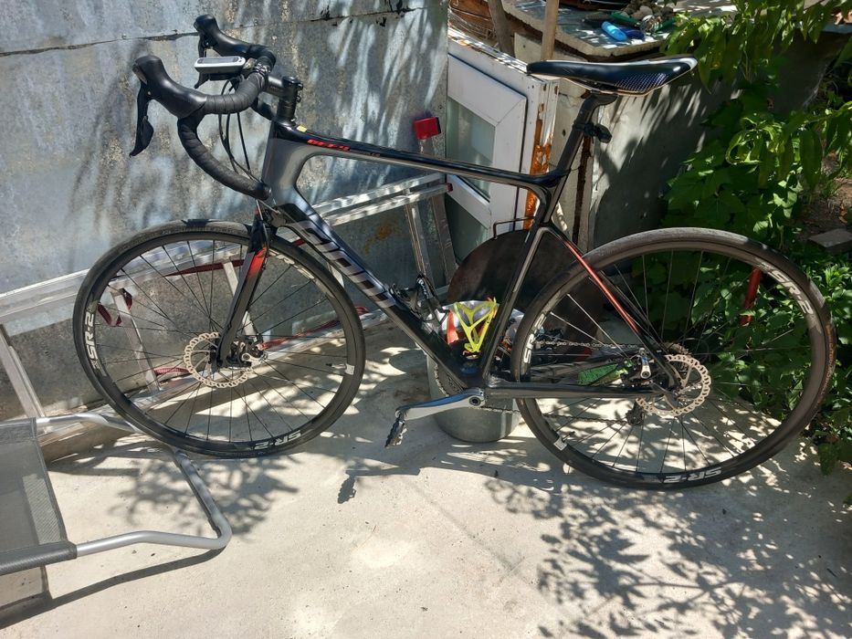 Cursiera giant carbon