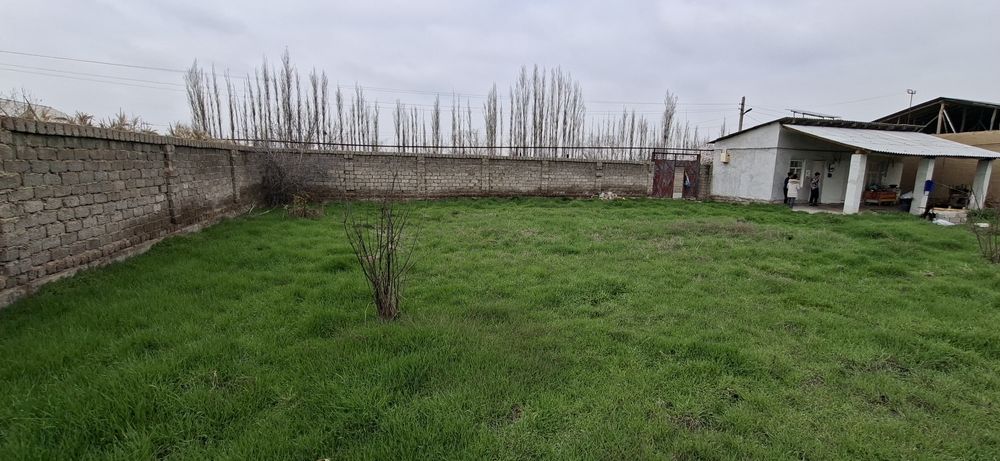 Продаю дом с участком