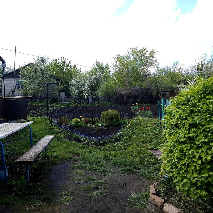 Продам дом в с. Боровское