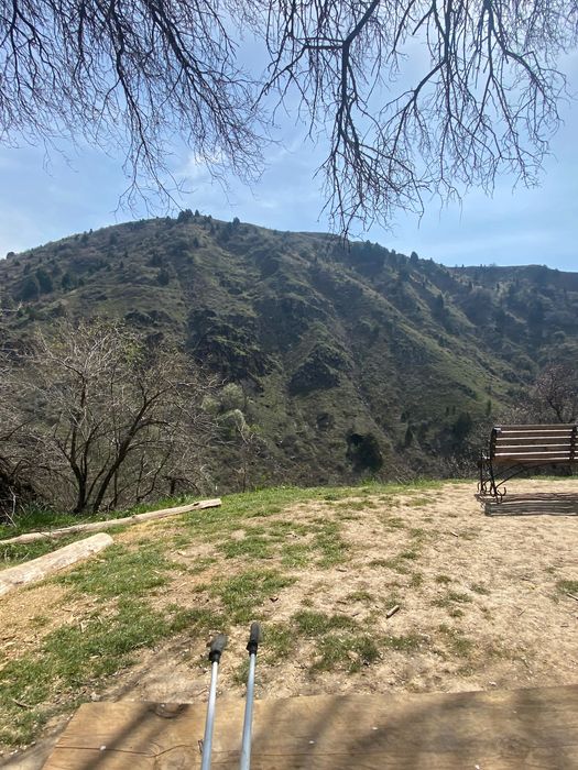 Поездка в Чимган гид-водитель. Трансфер.tour. Минивэн Hyundai 7мест