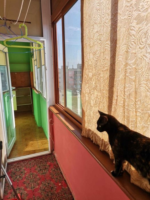 Продава се Многостаен апартамент в Белене - 112 кв.м за 545 €/кв.м - Снимка #3