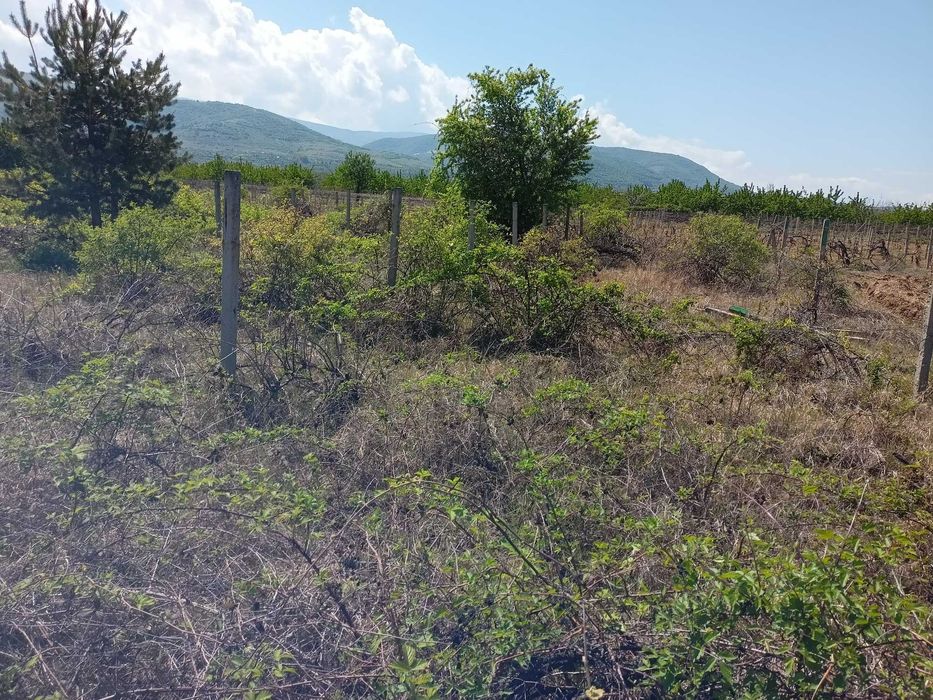 Продава се Земеделски имот в с. Брестник, Област Пловдив -  кв.м за 27000 €/дка - Снимка #6