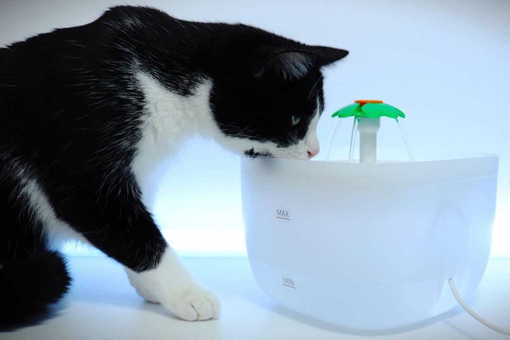 Fantana apa 2L pentru animale de companie