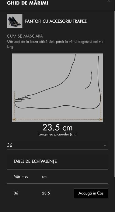 Pantofi Benaza albastru închis cu accesoriu