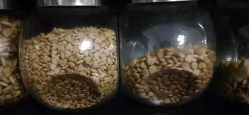 Экструдер 40кг/час 220В 6 матрицы