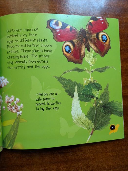 Set 2 carti in engleza din seria  Life Cycles  Fluturi si rechini