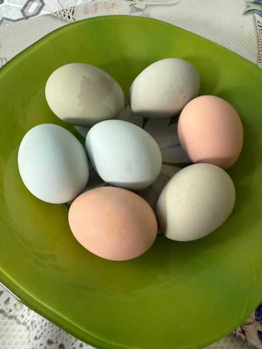 Продаю кур ,породы Ухейилюй