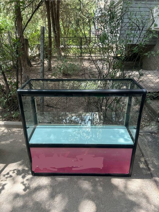 Для десертов и смартфонов витрина