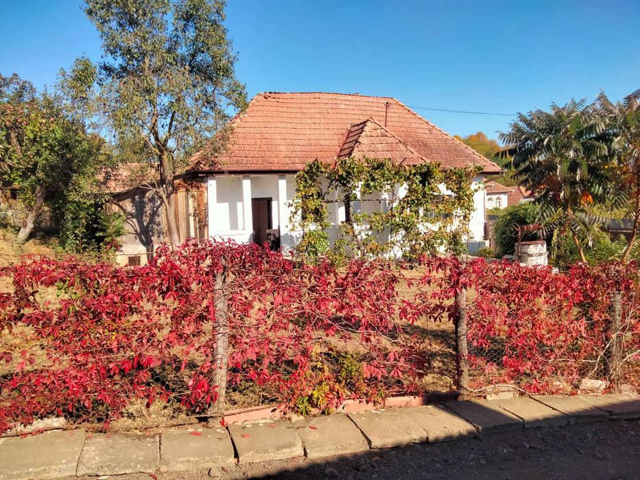 Casă de vânzare Râciu Mureș