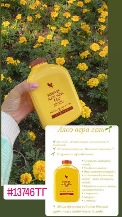 Алоэ вера гель для организма