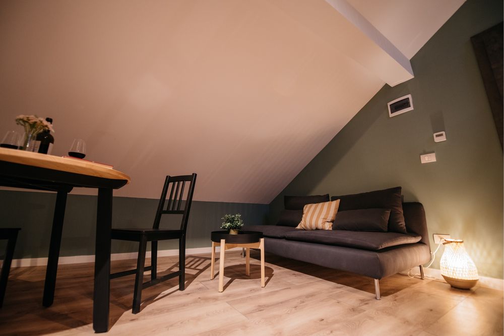 Studio 100m2 in regim hotelier maxim 4 persoane- Dumbravita