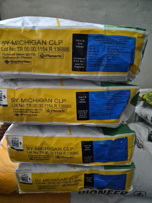 Floarea soarelui Syngenta Michigan