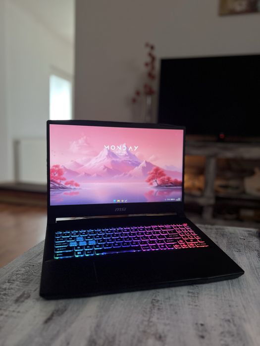 Laptop gaming garantie 3 ani la emag