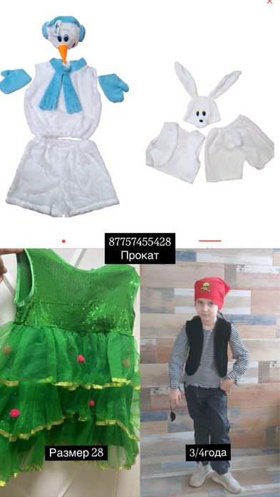 Қоян, шырша, костюм