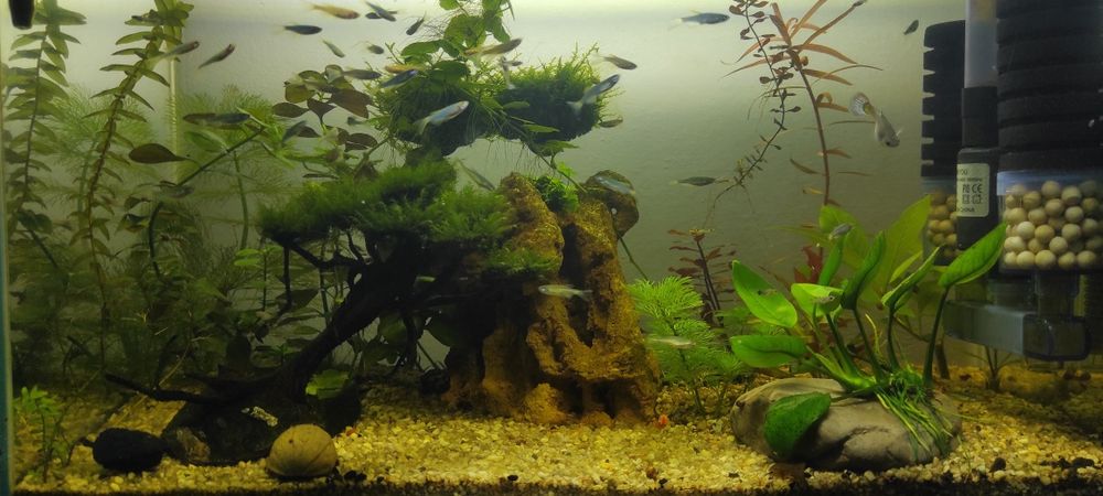 Продам три аквариума