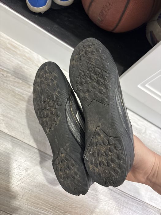 Сороконожки детские