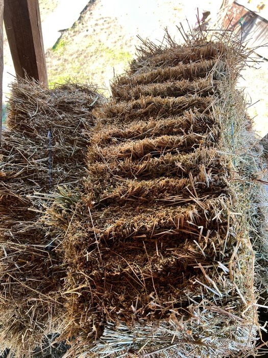 Vand baloti de lucerna.