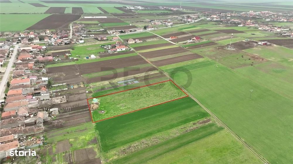 RECO Teren intravilan Girisu de Cris