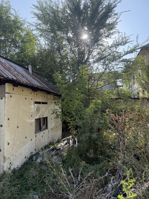 Дрова бесплатно самовывоз