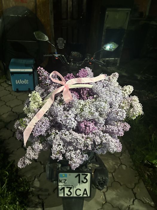 Сирень Алматыыыыы