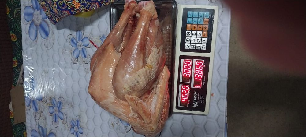 Мяса .Индюки домашние .