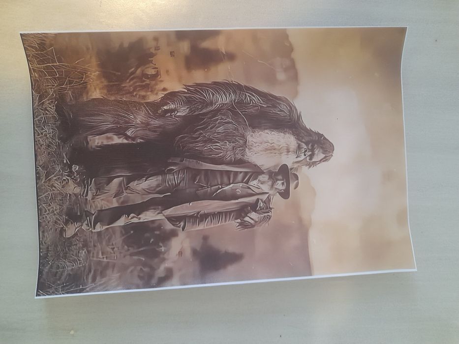 Декоративни картини - винил