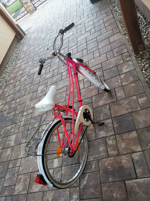 Bicicleta de fate pe 22
