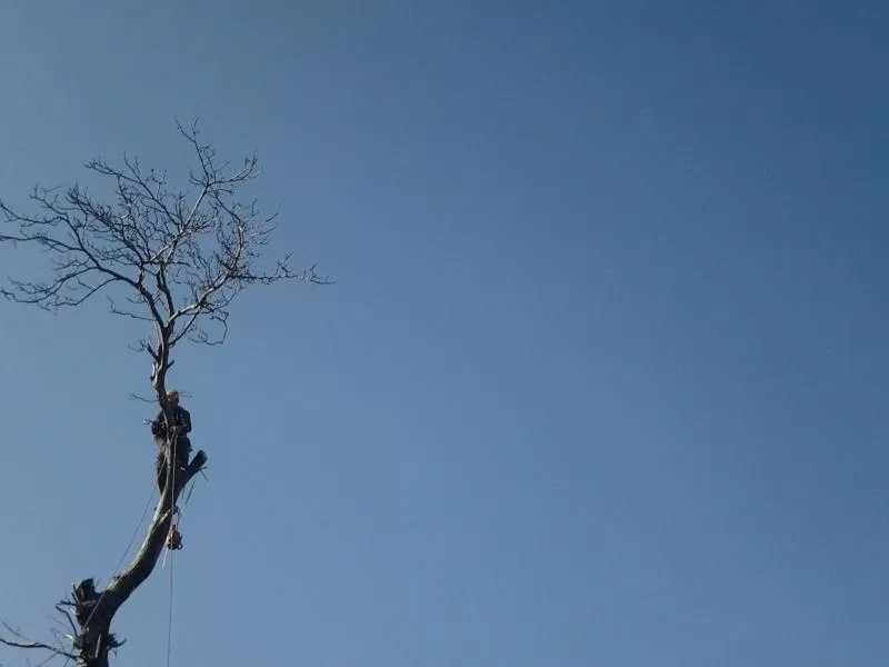 Alpiniști utilitari, Alpinism utilitar,  Termoizolații