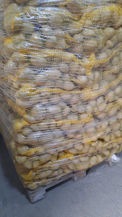 Vând cartofi  calitate 1