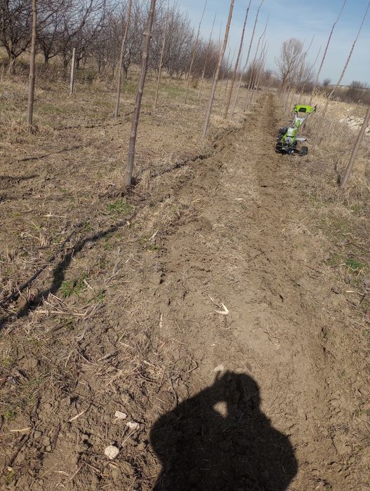 Оран,фрезоване,косене...

+ ФРЕЗОВАНЕ с мото