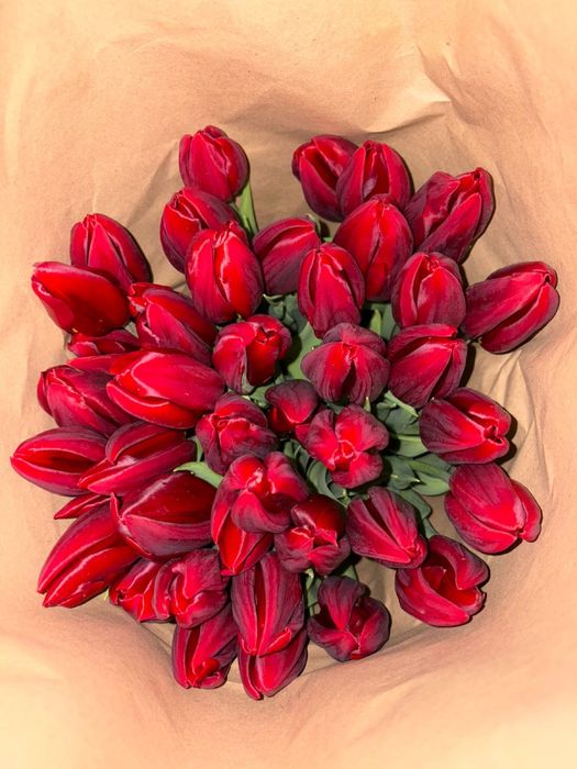 Тюльпаны оптом и в розницу