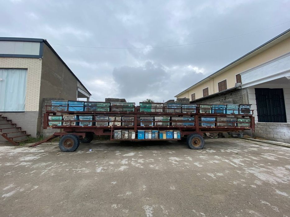 Asalari pritsipi uyalari bilan sotiladi