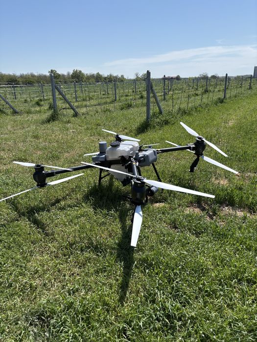 Пръскане със земеделски дрон DJI AGRAS T50