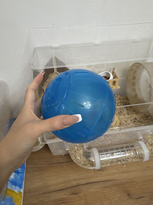 Хомяк с клеткой